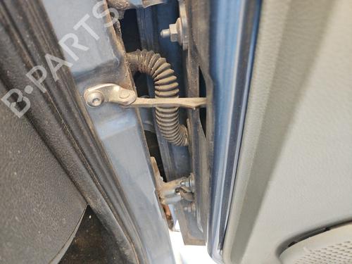 hingedoor-check-strap-dacia-logan-mcv-ks_-2007-34357973 main image
