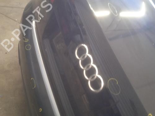 Tailgate AUDI A4 B7 (8EC) 2.0 TDI 16V | BP22549428C6 