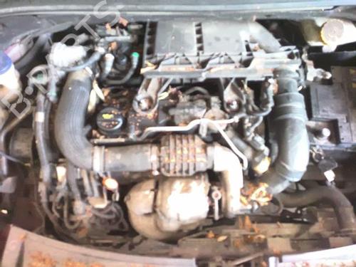 Lamp holder CITROËN C3 II (SC_) 1.4 HDi 70 (SC8HZC, SC8HR0, SC8HP4) | BP24430159L10  - Image 7