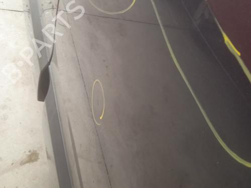 Left rear door RENAULT SCÉNIC III (JZ0/1_) 1.5 dCi | BP21283574C4 