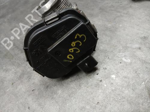 Spjeldhus CITROËN C4 Picasso I MPV (UD_) 1.6 HDi 110 | BP30792151M82