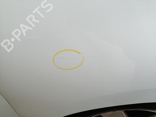 Used Right front fenders RENAULT SCÉNIC III (JZ0/1_) 1.9 dCi (JZ0J, JZ1J, JZ1K, JZ1S) (131 hp) 25741159