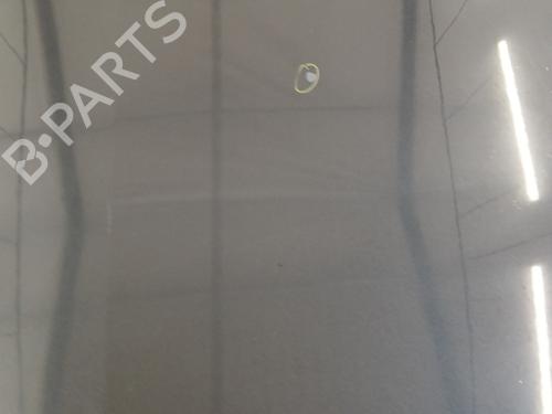 Hood RENAULT LAGUNA III (BT0/1) 2.0 dCi (BT01, BT08, BT09, BT0E, BT0K, BT12, BT1C, BT1D,... | BP32024693C1