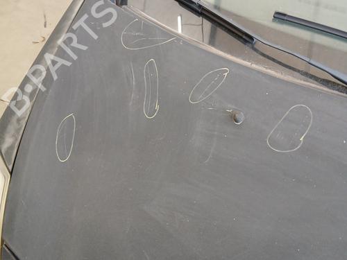 Hood RENAULT CLIO III (BR0/1, CR0/1) 1.5 dCi (BR17, CR17) | BP29307295C1 