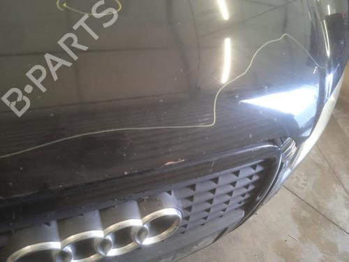 Hood AUDI A4 B7 (8EC) 2.0 TDI 16V | BP22549421C1 