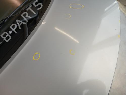 Motorhjelm RENAULT SCÉNIC II (JM0/1_) 1.9 dCi (JM0G, JM12, JM1G, JM2C) | BP29844753C1