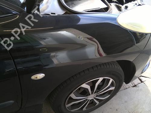 right-front-fenders-peugeot-206-2l_-2m_-2009-2010-2011-2012-2013-39215730 main image