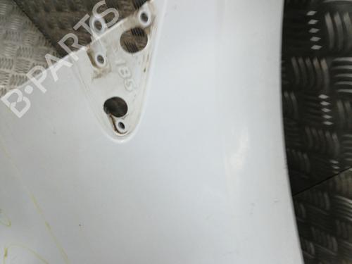 right-front-fenders-renault-clio-iii-br01-cr01-2005-2006-2007-2008-2009-2010-2011-2012-2013-2014-25213931 main image