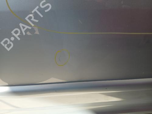 Left front door PEUGEOT 1007 (KM_) 1.6 16V | BP29247359C2 