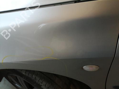 Left front fenders PEUGEOT 307 (3A/C) 2.0 HDi 110 | BP26905970C41 