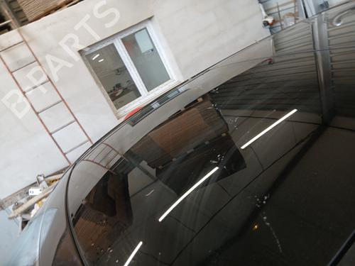 Sunroof RENAULT GRAND SCÉNIC III (JZ0/1_) 1.9 dCi (JZ0J, JZ0N, JZ1K, JZ1S) | BP30144752C124