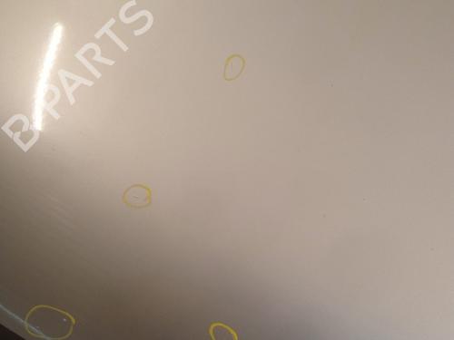 Hood FORD FUSION (JU_) 1.4 TDCi | BP22131625C1 