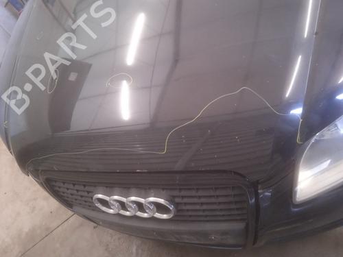 Hood AUDI A4 B7 (8EC) 2.0 TDI 16V | BP22549421C1 