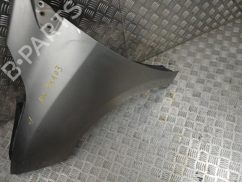 Left front fenders RENAULT MEGANE III Hatchback (BZ0/1_, B3_) 1.5 dCi (BZ09, BZ0D, BZ1W, BZ29, BZ14) | BP30506835C41