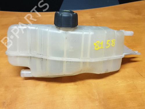 Used Expansion tank RENAULT CLIO III (BR0/1, CR0/1) 1.5 dCi (BR17, CR17) (86 hp) 21275804