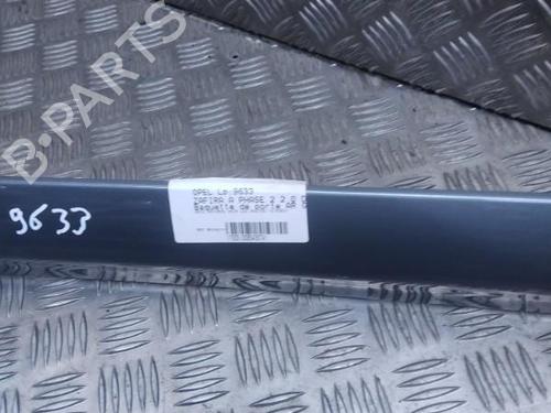 Door moulding trim OPEL ZAFIRA A MPV (T98) 2.0 DI 16V (F75) | BP21562070C150 