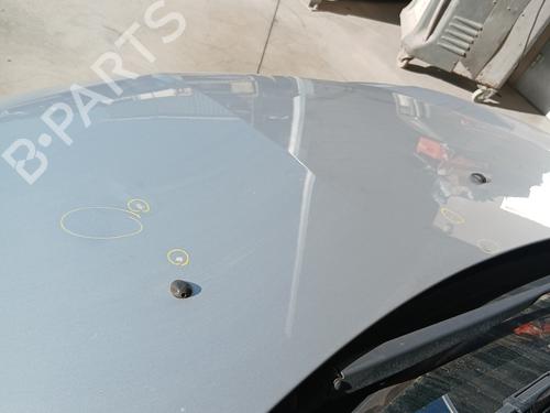 Hood RENAULT CLIO III (BR0/1, CR0/1) 1.4 16V | BP29240814C1 