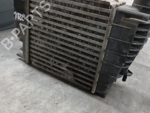Intercooler Intercooler RENAULT CLIO III (BR0/1, CR0/1) [2005-2014] 36010729 36010729