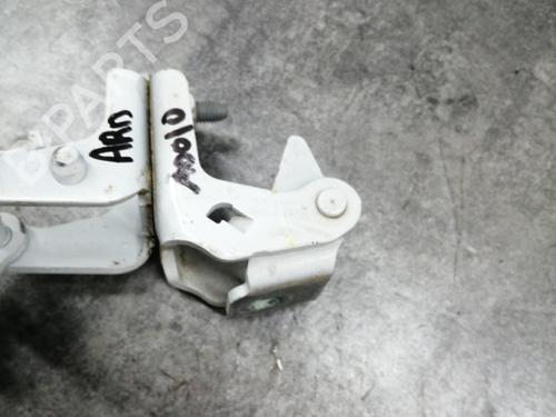 hingedoor-check-strap-renault-megane-iv-hatchback-b9amn_-2015-25141533 main image