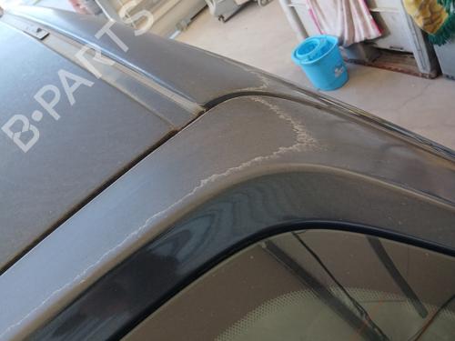 Tailgate CITROËN XSARA PICASSO (N68) 2.0 HDi | BP29252009C6