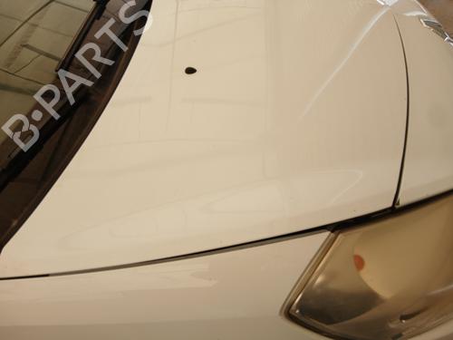 Hood RENAULT CLIO III (BR0/1, CR0/1) 1.5 dCi (C/BR0G, C/BR1G) | BP28669260C1