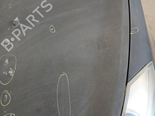 Hood RENAULT CLIO III (BR0/1, CR0/1) 1.5 dCi (BR17, CR17) | BP29307295C1 