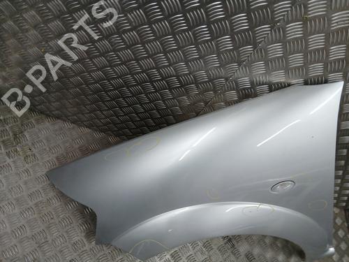 Left front fenders CITROËN C3 I (FC_, FN_) 1.4 HDi | BP29121121C41 