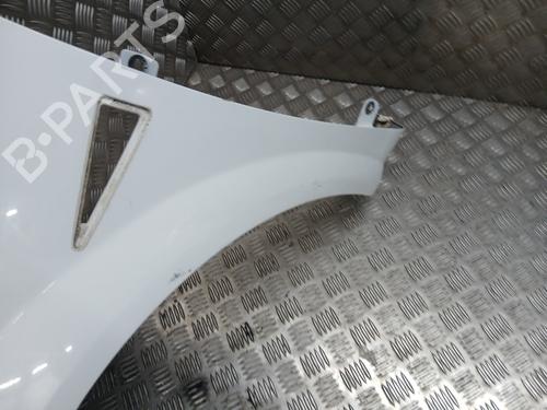Left front fenders RENAULT MEGANE II (BM0/1_, CM0/1_) 1.6 16V (BM0C, CM0C) | BP28126734C41 