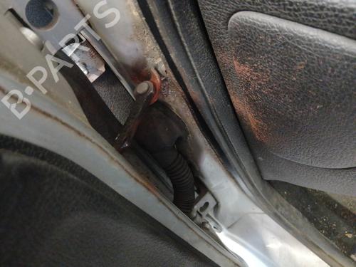 Hinge/Door check strap PEUGEOT 206 CC (2D) 1.6 HDi 110 | BP28116093C146 