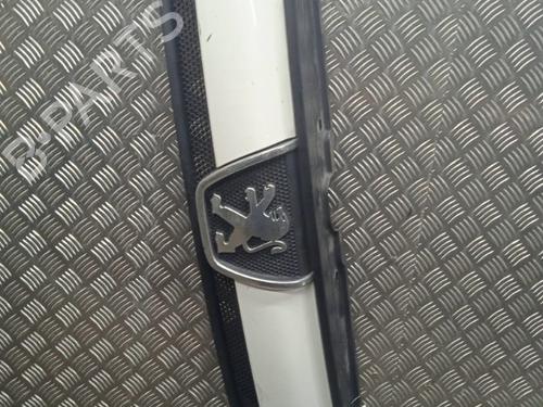 Used Grille PEUGEOT BOXER Van (244) 2.0 HDi (84 hp) 21277540