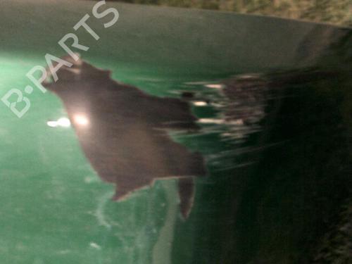Front bumper HYUNDAI ACCENT II (LC) 1.3 | BP21275778C7 