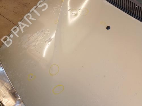 Motorhjelm RENAULT MEGANE Scenic (JA0/1_) 1.6 e (JA0F) (90 hp) 30457810