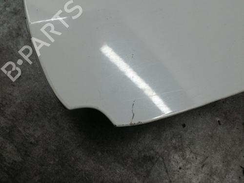 Used Fuel flap RENAULT CLIO III (BR0/1, CR0/1) 1.5 dCi (BR17, CR17) (86 hp) 25215287