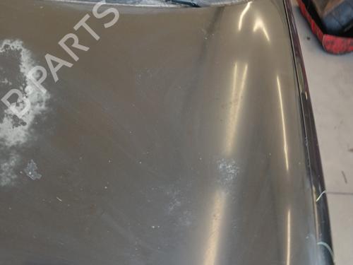 Hood VW POLO IV (9N_, 9A_) 1.4 TDI | BP28071357C1