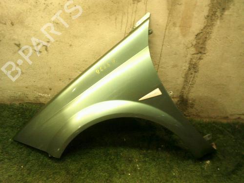 Left front fenders RENAULT MEGANE II Coupé-Cabriolet (EM0/1_) 1.9 dCi | BP20887105C41 