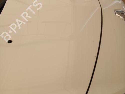 Hood RENAULT CLIO III (BR0/1, CR0/1) 1.5 dCi (C/BR0G, C/BR1G) | BP28669260C1