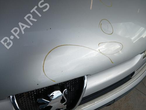 Hood PEUGEOT 807 (EB_) 2.0 HDi | BP29854163C1 