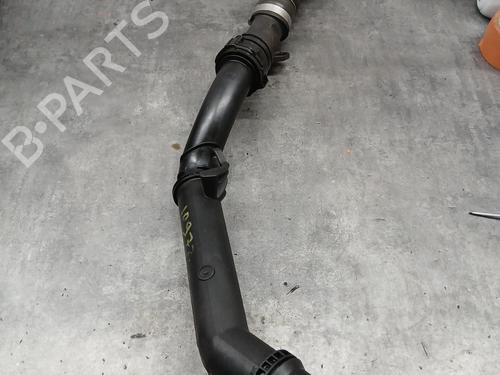 Rør RENAULT CLIO III (BR0/1, CR0/1) 1.5 dCi (C/BR0G, C/BR1G) (68 hp) 29113783