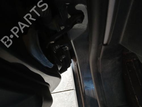 Hinge/Door check strap RENAULT LAGUNA III (BT0/1) 1.5 dCi (BT00, BT0A, BT0T, BT1J) | BP30129790C146