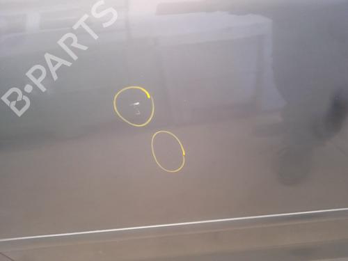 Right front door VW GOLF PLUS V (5M1, 521) 1.9 TDI | BP22719026C3 