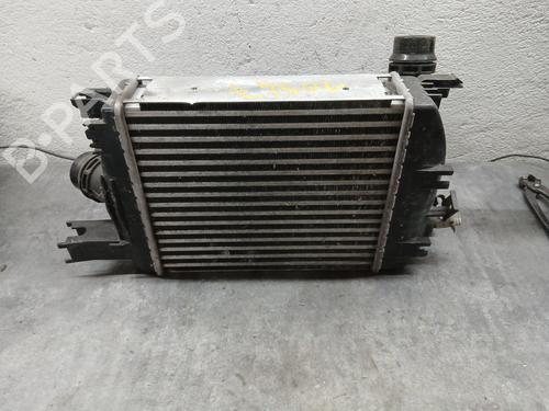 Ladeluftkühler für RENAULT CAPTUR I (J5_, H5_) 1.2 TCe 120 (120 hp) 29607512
