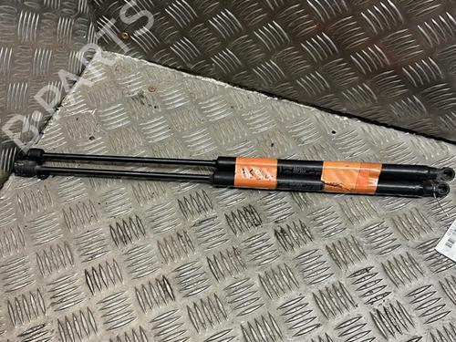Tailgate lift support FIAT BRAVO II (198_) 1.6 D Multijet (198AXH1B) | BP20884708C138 