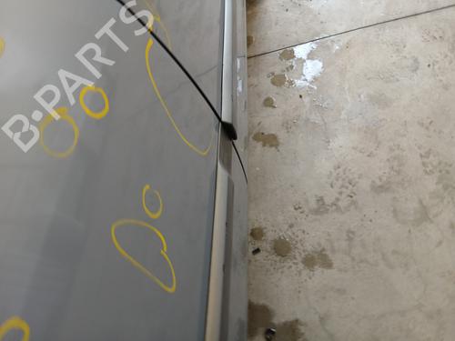Dør højre bagtil RENAULT SCÉNIC II (JM0/1_) 1.9 dCi (JM0G, JM12, JM1G, JM2C) | BP29844763C5