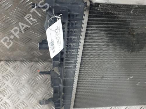 Water radiator RENAULT SCÉNIC III (JZ0/1_) 1.2 TCe | BP29488621M31 