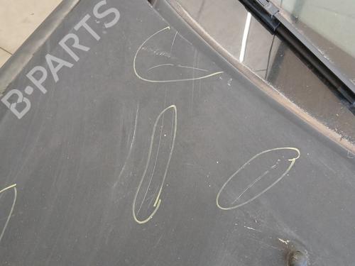 Hood RENAULT CLIO III (BR0/1, CR0/1) 1.5 dCi (BR17, CR17) | BP29307295C1 