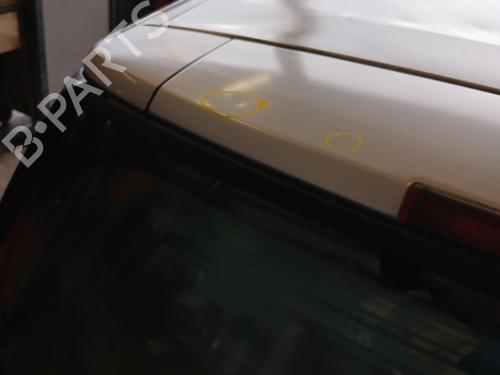 Tailgate RENAULT SCÉNIC II (JM0/1_) 1.9 dCi (JM0G, JM12, JM1G, JM2C) | BP29844759C6 
