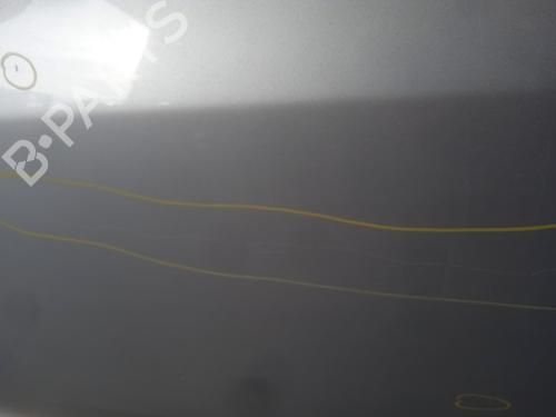 Left front door FIAT GRANDE PUNTO (199_) 1.3 D Multijet | BP24116429C2