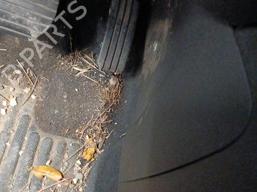 Pedal RENAULT GRAND SCÉNIC III (JZ0/1_) 1.9 dCi (JZ0J, JZ0N, JZ1K, JZ1S) | BP30144741I4