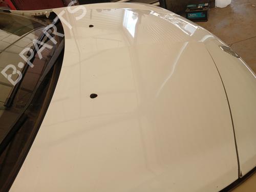 Hood RENAULT CLIO III (BR0/1, CR0/1) 1.5 dCi (C/BR0G, C/BR1G) | BP28669260C1