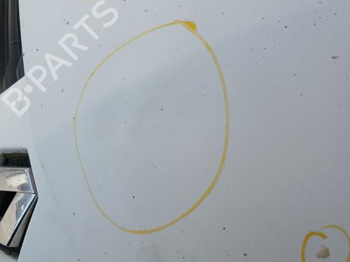 Used Hood RENAULT CLIO II (BB_, CB_) 1.5 dCi (B/CB07) (65 hp) 32384200